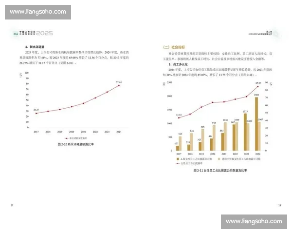 以长期价值驱动品牌成长的战略升级与持续突破创新实践新范式 以长期价值驱动品牌成长的战略升级与持续突破创新实践新范式